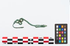 Foto von Bronzeschlangenfibel (NHMW-PRAE-026558)
